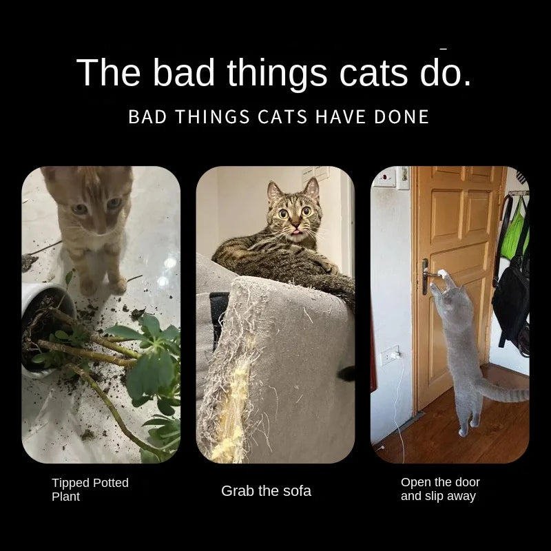 Pet Deterrent Mat New PET Cat Thorn Proof Mat with Spikes No Harm To Cats Pet Deterrent Mats Transparent Anti-Cat Dog Mat Indoor