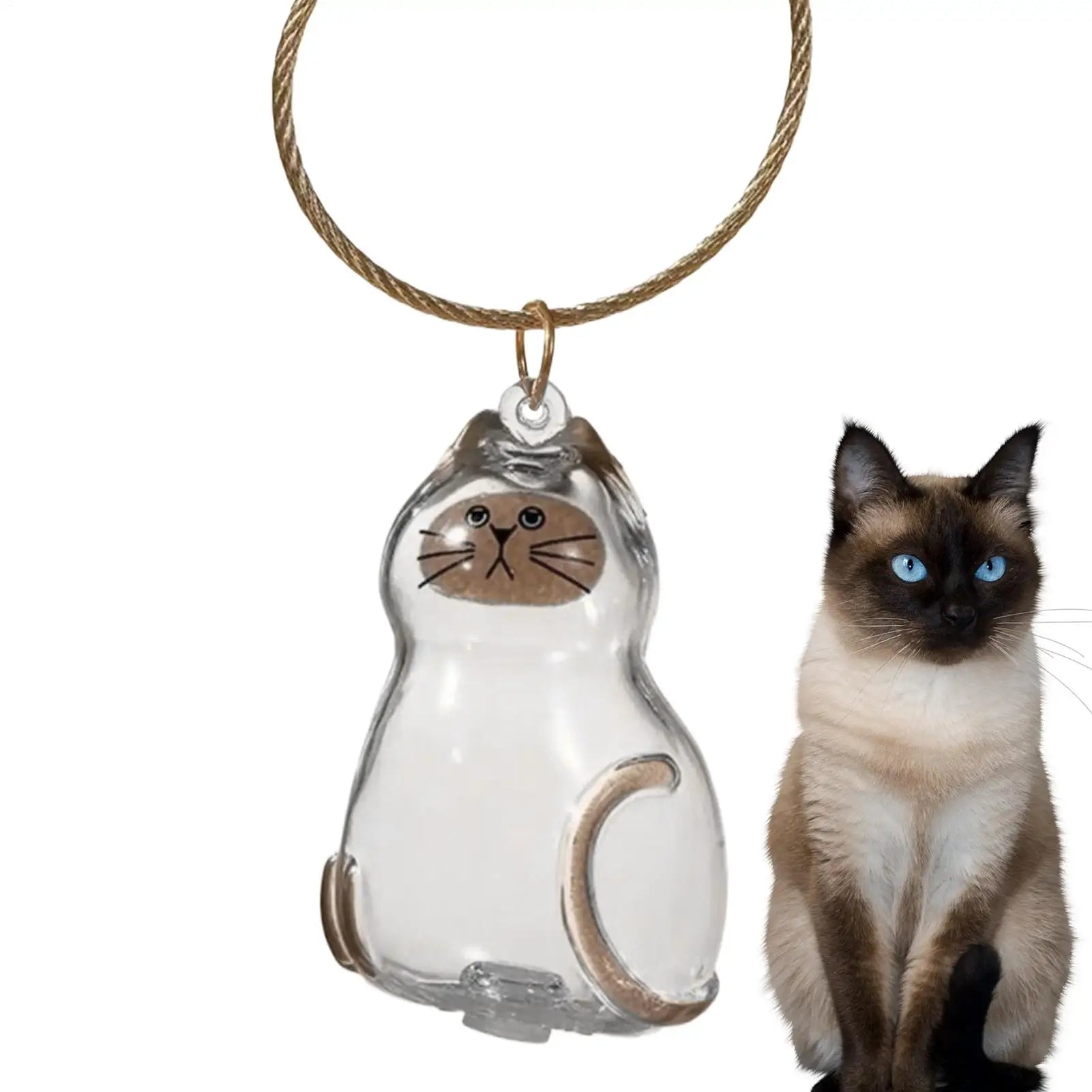 2025 Kawaii Transparent Cat Keychain Hair Storage Bottle Capsule Toys Pet Fur Keepsake Collection Box Cute Birthday Souvenir