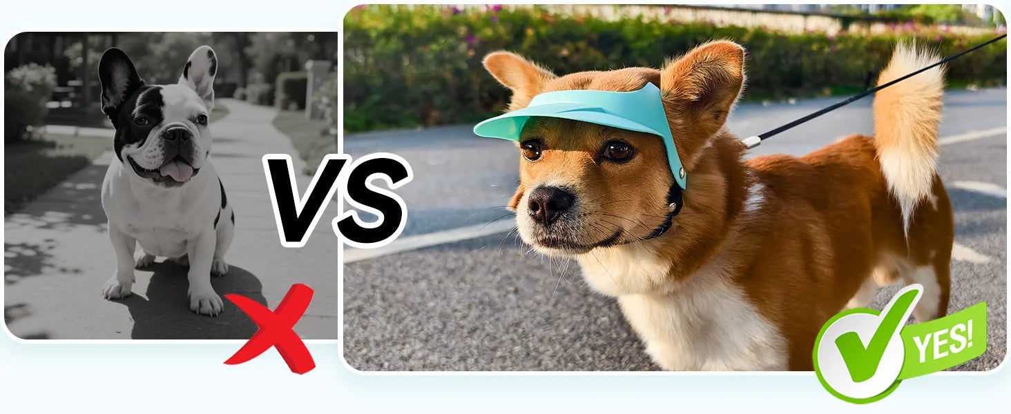 ATUBAN Dog Hat for S/M Dogs,Dog Sun Hats Ear Holes,Adjustable Doggy Visor Outdoor Sport Summer Beach Hat Breathable Baseball Cap
