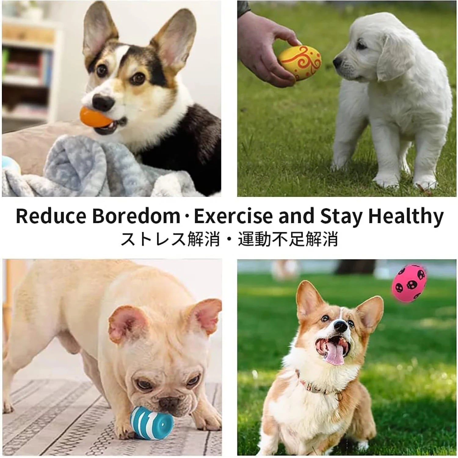 SCGK bouncy egg Dog Toys Funny Ball Squeaky Latex Bouncy Egg with Squeaker for Puppy Small Pet Dogs Soft Rubber Sound