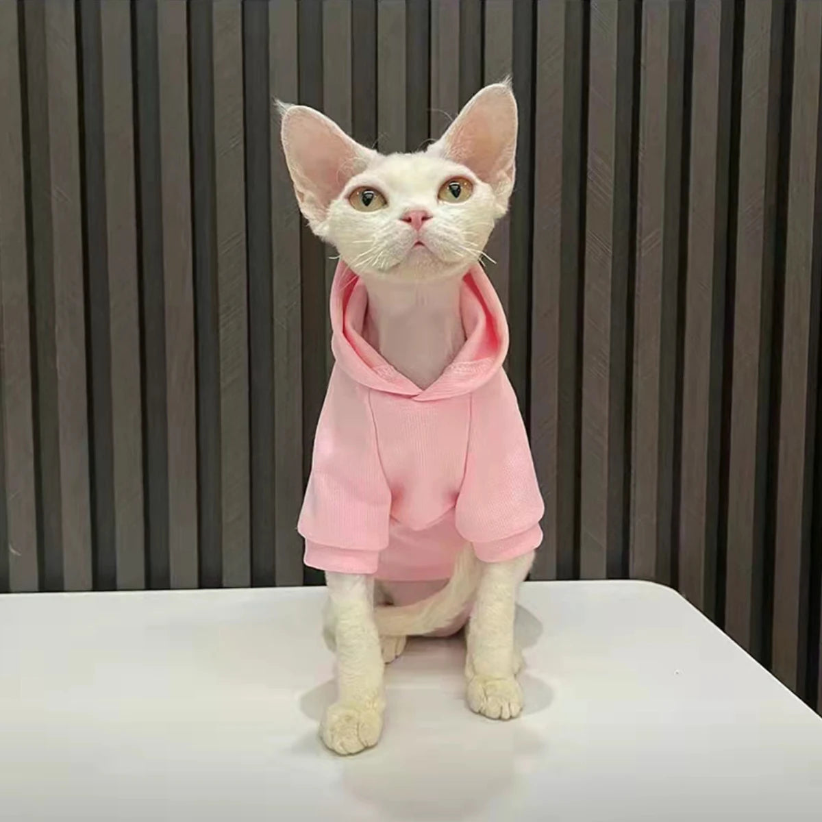 Halloween Cat Puppy Hoodies Autumn Winter Pet Pullovers for Small Dogs Cats Sphynx Clothing Kitten Costume ropa para gatos