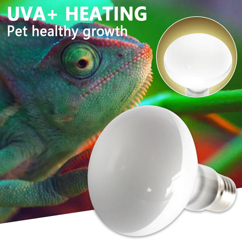 25W-100W E27 Reptile Heating Lamp Bulb UVA Heating Light Lizard Calcium Supplement Lamp Amphibians Terrarium Lighting Supplies