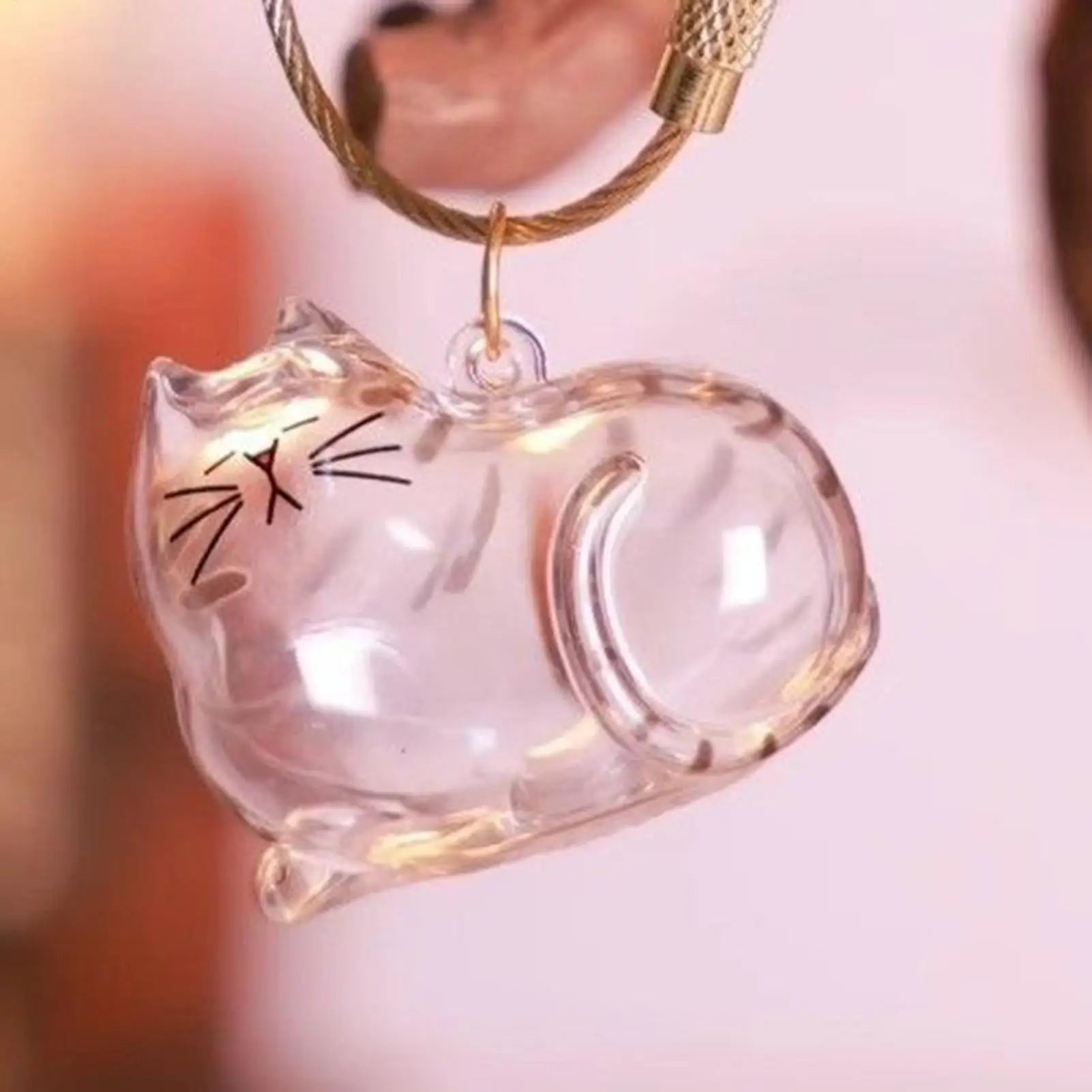 2025 Kawaii Transparent Cat Keychain Hair Storage Bottle Capsule Toys Pet Fur Keepsake Collection Box Cute Birthday Souvenir