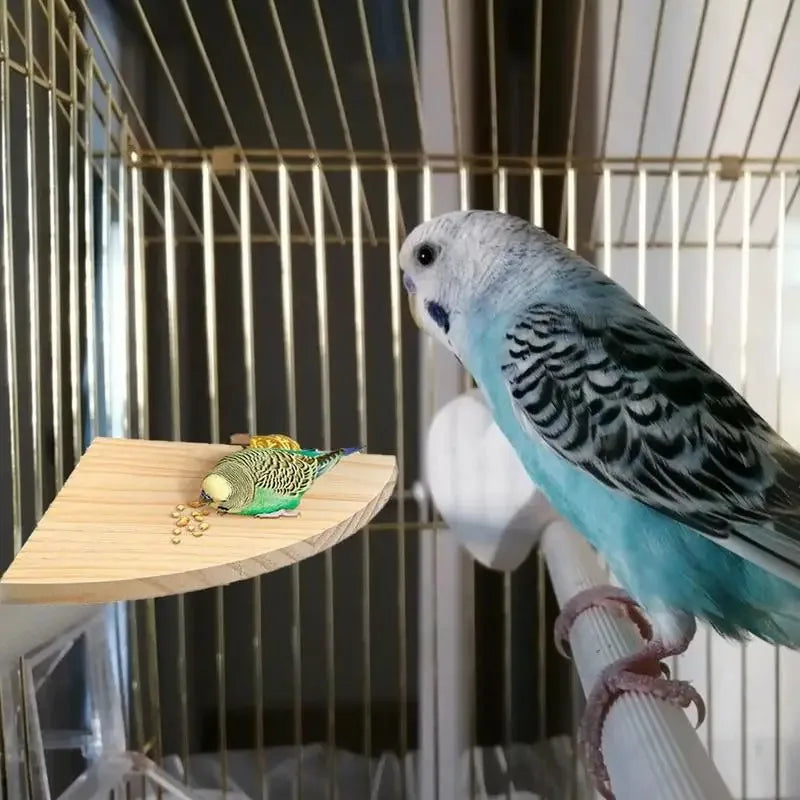 Fan-shaped Parrot Wooden Stand Rack Bird Cage Accessories Perch for Small Animal Chinchilla Squirrel Hamster Bird Stand Board