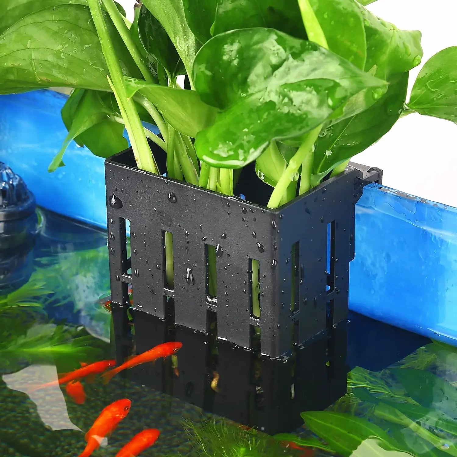 3pcs Aquarium Plant Holder with Hooks and Suction Cups for Fish Tank Aquaponic Plant Cultivation and Aquascape Decorations