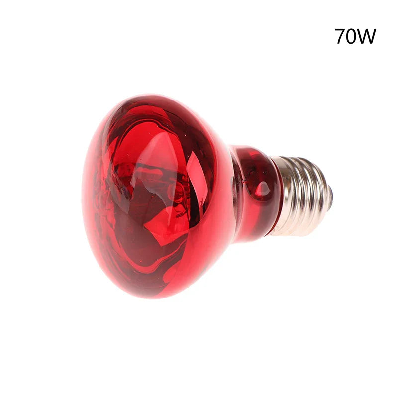 25/40/50/60/75/100W E27 UVA Poultry Bulb Infrared Night Light Day Poultry Heating Bulb For Plants Amphibians Reptile Pets