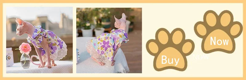 2021 Luxury Sphynx Cat Clothes Summer Dog Fancy Dress For Hairless Cats Clothing Small French Bulldog Puppy Costume Kittens Vest
