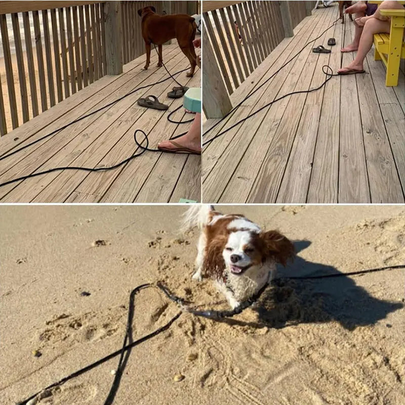 5M/10M/15M Long Rope Training Dog Leash- Heavy Duty Nylon Recall Agility Training Dogs Lead Leash For Medium Large Dog Leash