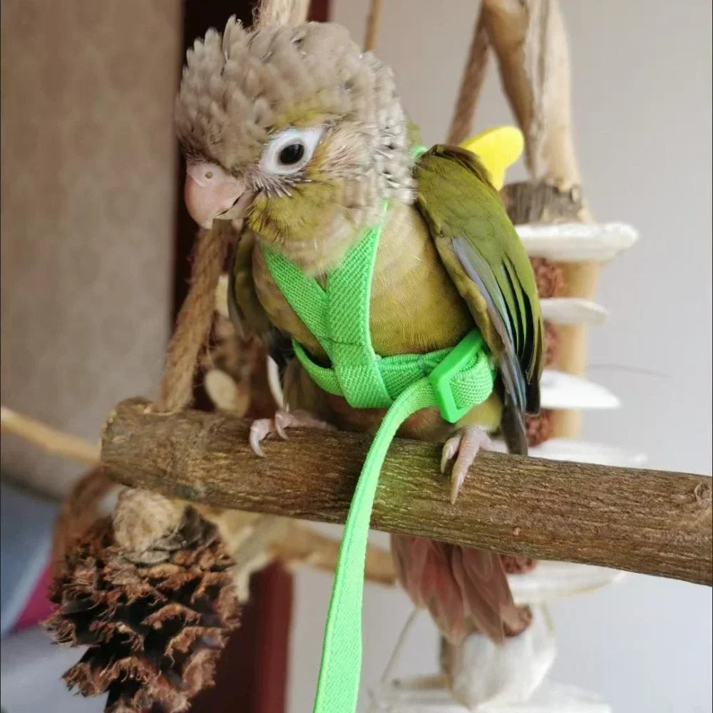 Adjustable Parrot Bird Harness Leash Set Anti-bite Training Harness Parrots Outdoor Flying Rope Cockatiel Small Birds Supplies