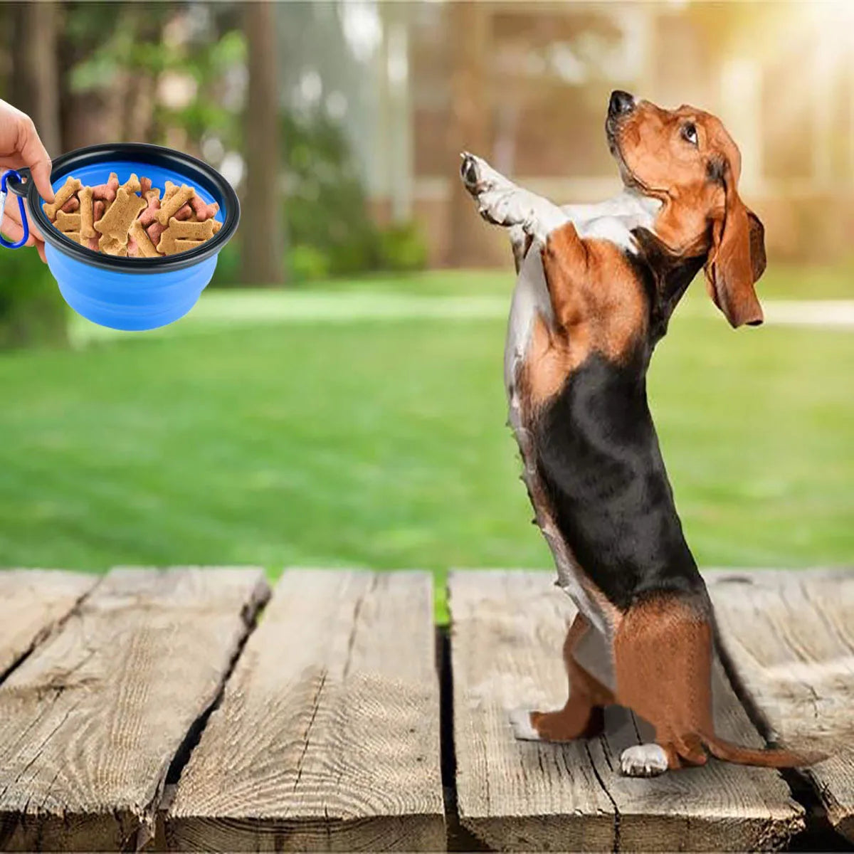 Dogs Feed Supplies Folding Silicone Bowl Portable Puppy Water Container with Carabiner Folding Cats Bowl Travel Pets Accessories