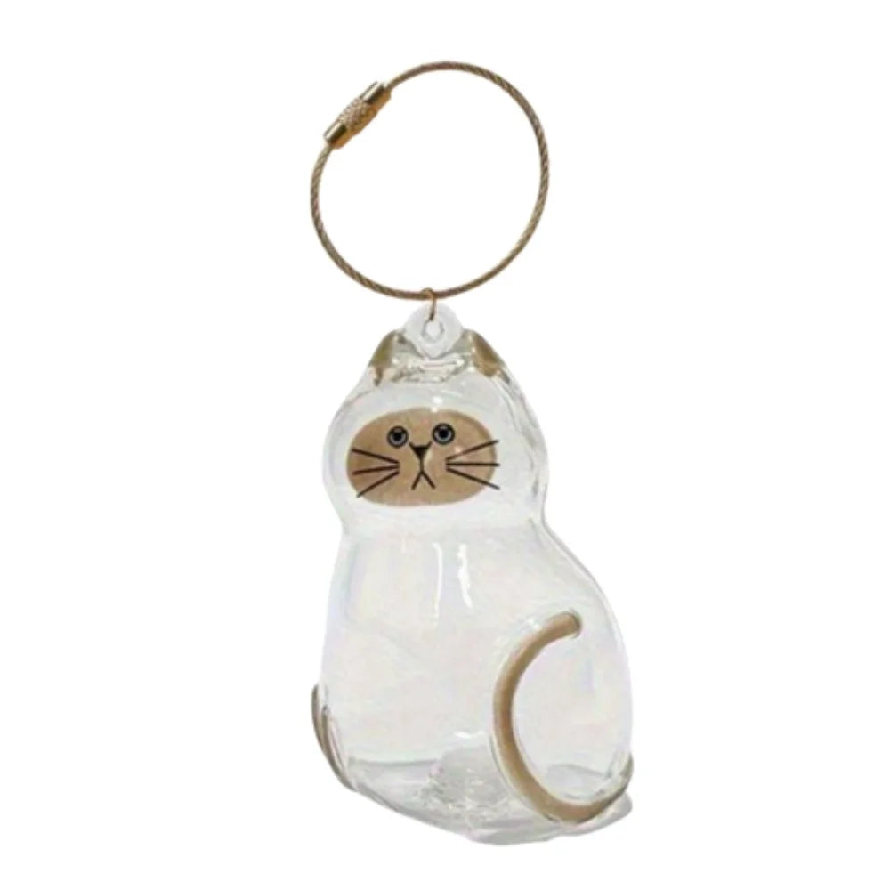 1/3pcs Transparent Cat Memorial Capsules Pet Hair Keepsake Box with Hanging Loop for Cat Lovers Gift Pendant Keychain Pet Access