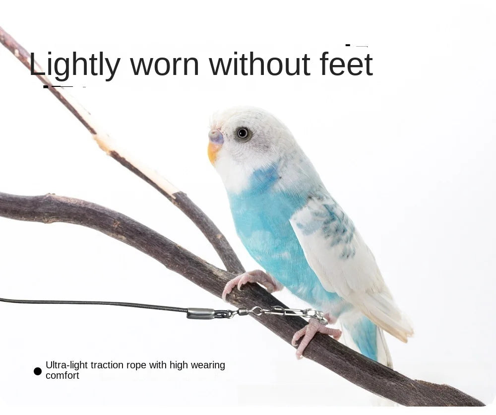 Elastic Parrot Traction Rope Metal Buckle Anti-flying Parrots Training Leash Lightweight Multiple Size Bird Foot Chain for Birds