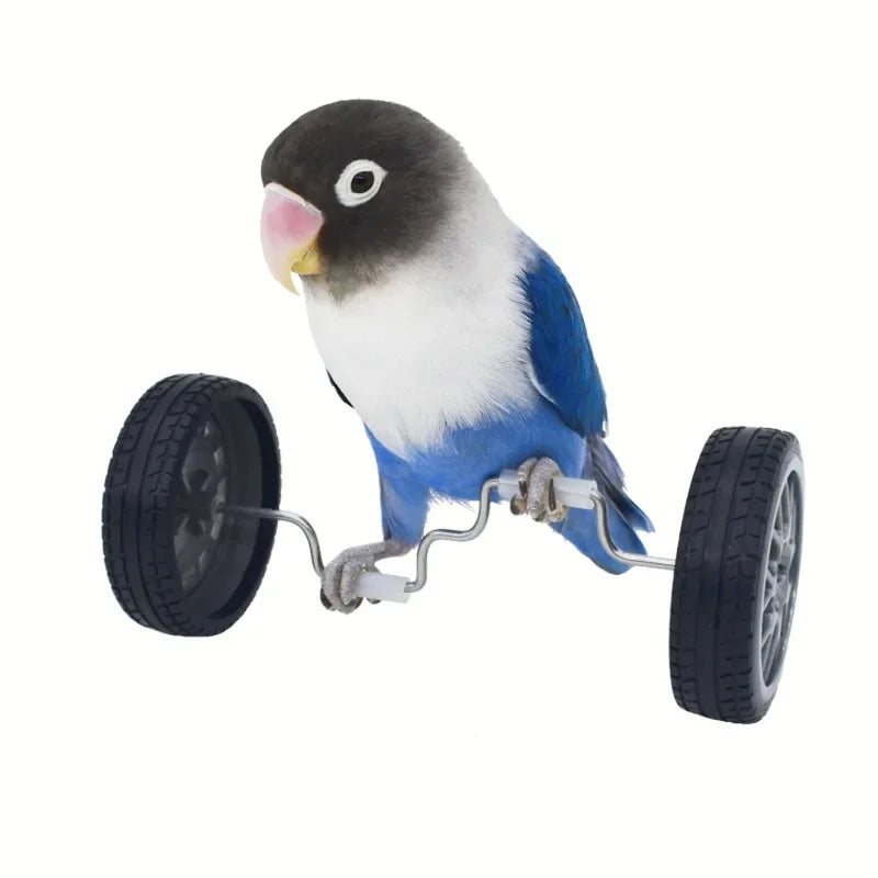 Parrot Balance Birds Intelligence Training Interactive Toy Mini Bicycle Wheels Roller for Small Medium Birds Pet Supplies Toys