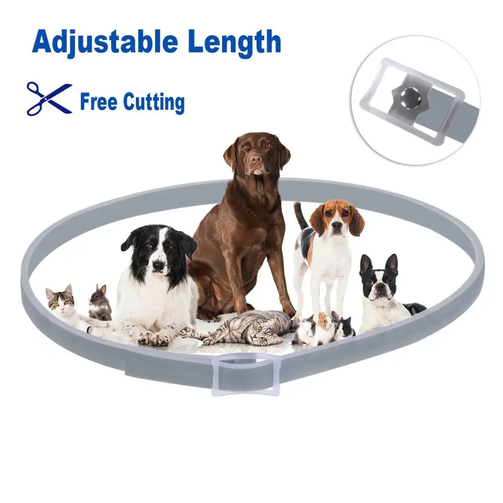 Professional 8 Month Protection Flea & Tick Collar Anti-mosquito Silicone Dog Collar Wear Resistant Universal Pet Supplies Teddy