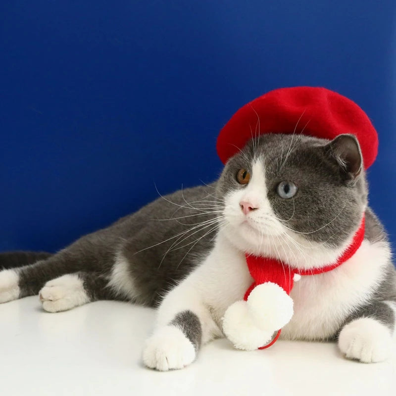 Pet Cat Hat Headgear Fine Workmanship Cashmere Elegant Soft Beret Bow Tie Collar Decoration Dogs Cap Beret For Decor New Year