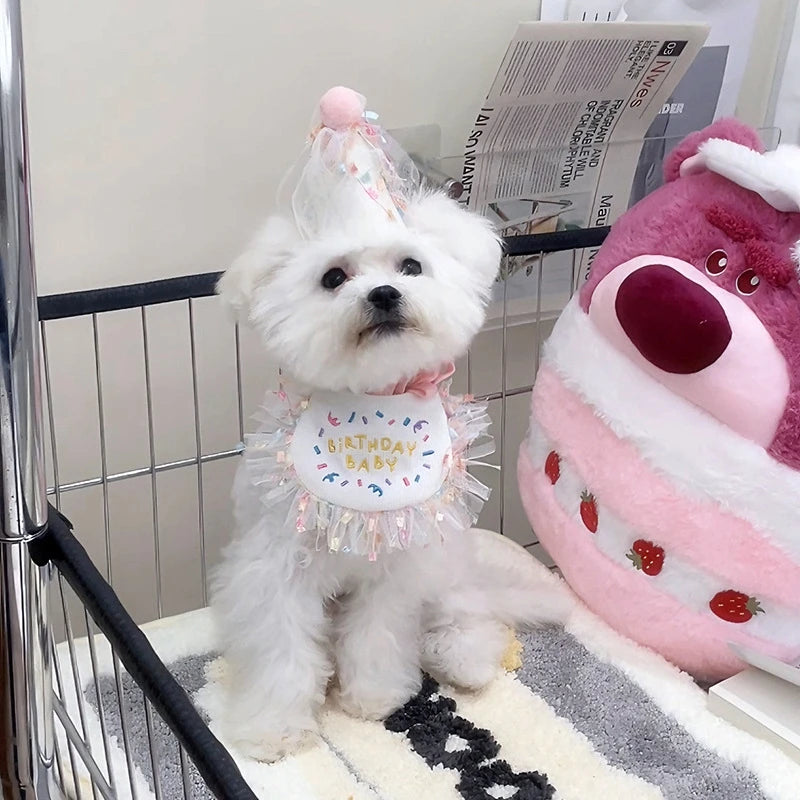 Pet Cat Dog Birthday Party Lace Suit Hat Scarf Dog Bib Saliva Towel Mesh Series Bear Birthday Jewelry Dress Up Accessories