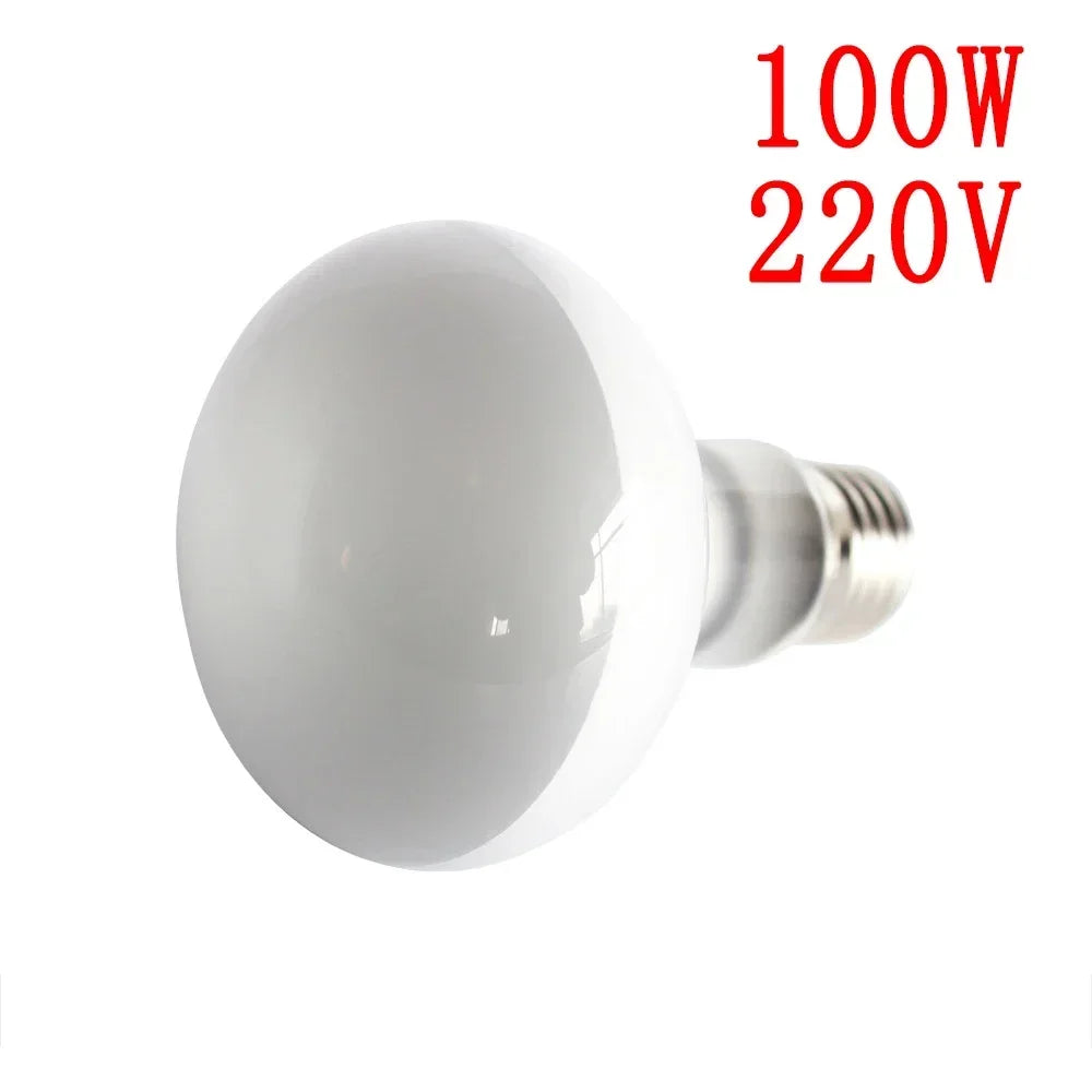 25W-100W E27 Reptile Heating Lamp Bulb UVA Heating Light Lizard Calcium Supplement Lamp Amphibians Terrarium Lighting Supplies