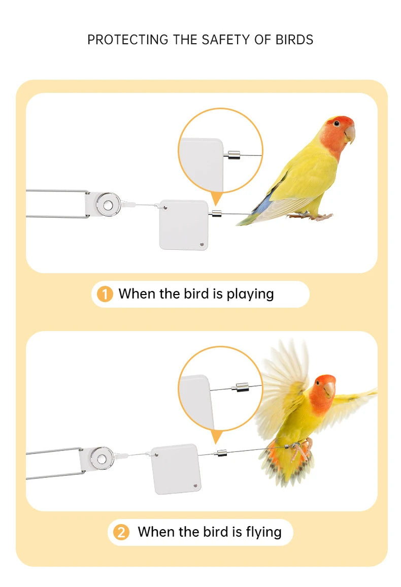 Parrot Release Rope Bird Training Leash with Auto Flying Control for Parrots Stainless Steel Cord Auto Retractable Outdoor Fun