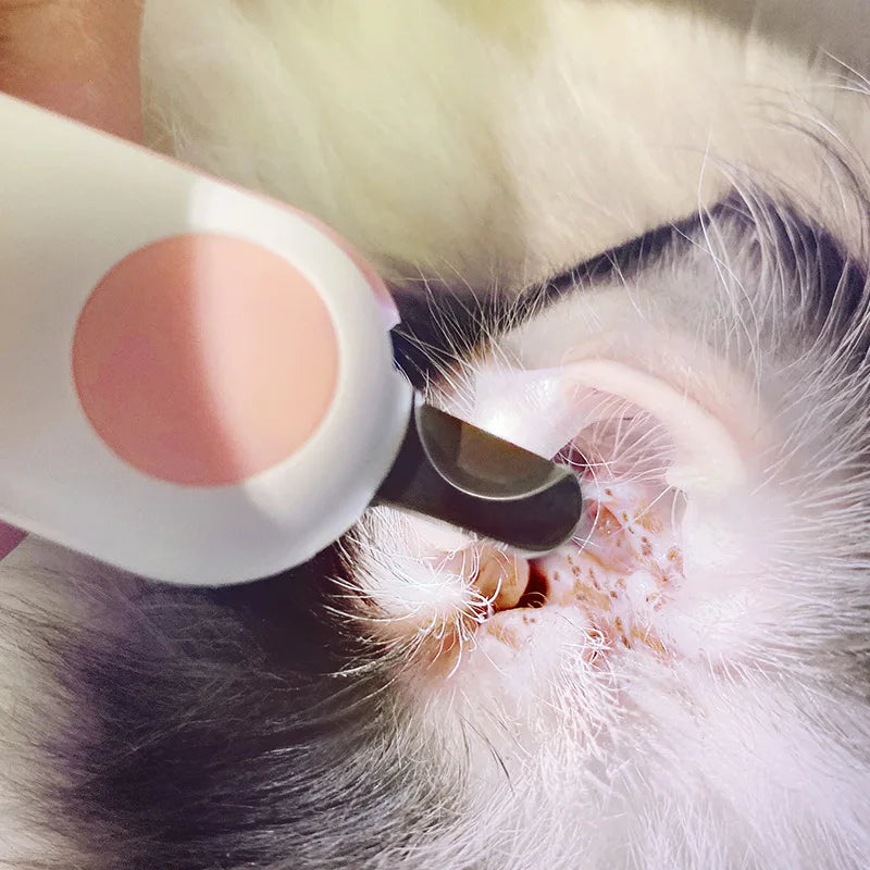 Professional Pet Nail Clipper Scissors With LED Light Cat Dog Nail Clippers Tool Scissors Nail Toeclaw Cutter Scissor Pet Supply