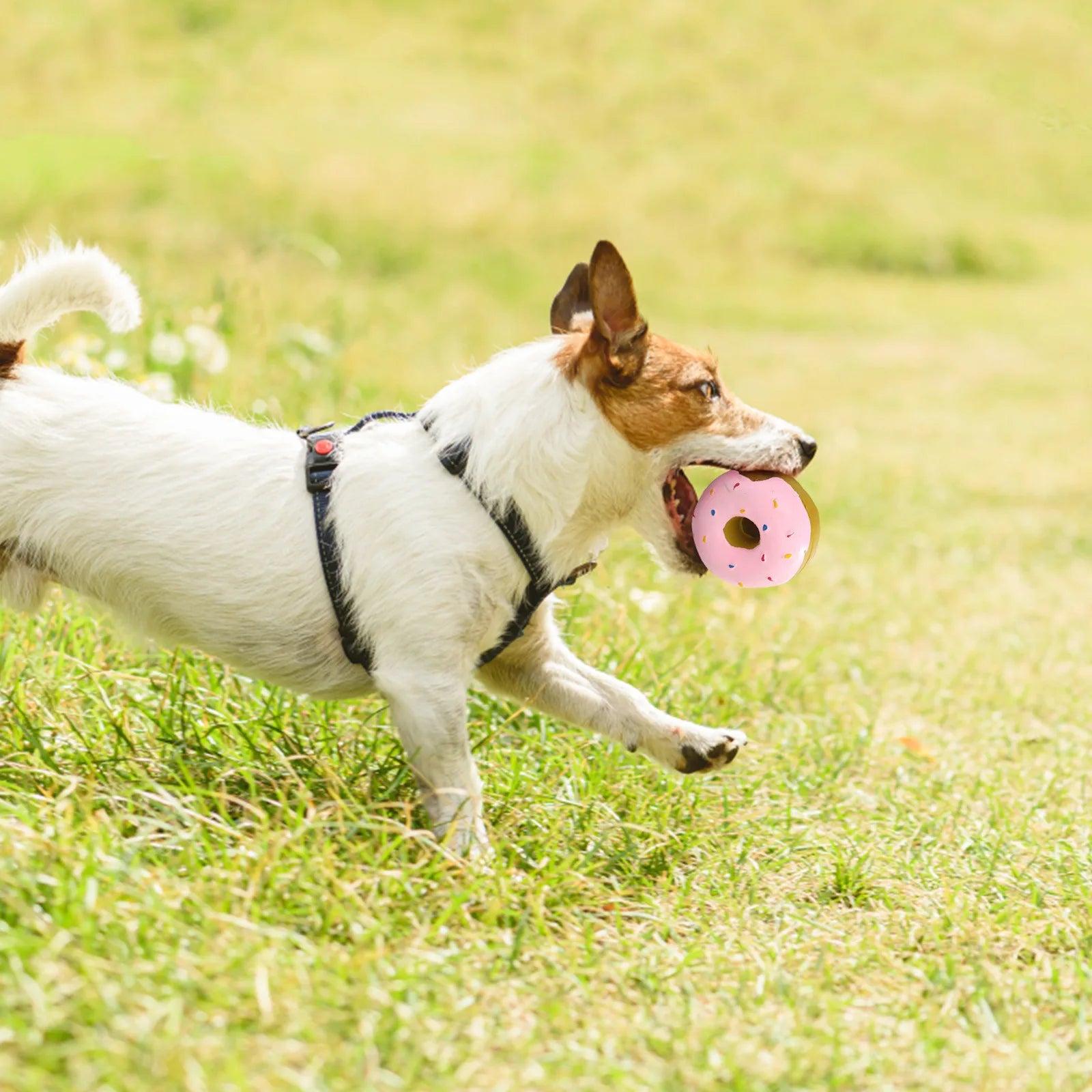 1PC Donut Dog Chew Toy Sound Toys Simulation Donuts Grinding Cleaning Tooth Relief Dog Toys Игрушки Для Собак Mascotas Perro