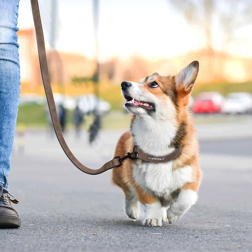 Custom Leather Dog Collar Leash Personalized Pet Collars and Leash Set Durable Leather Collar Lead for Small Medium Large Dogs
