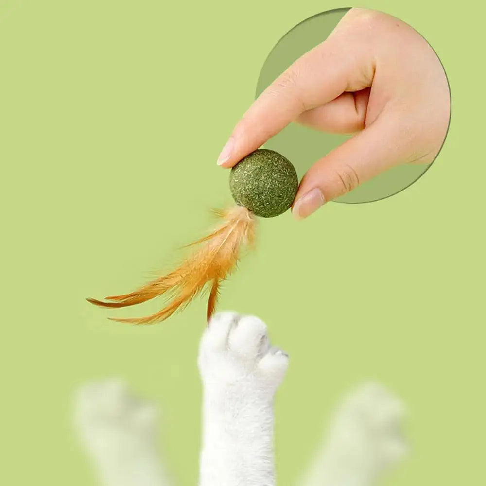 Natural Catnip Feather Balls Lickable Cat Grass Snack Kitten Scratchers Toy Treats Chewing Fresh Breath Cat Toys Cat Treats
