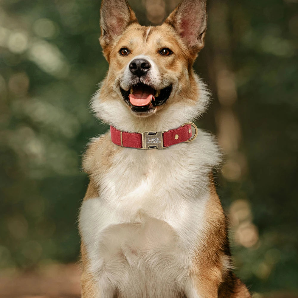 Customized Nylon Dog Collar Personalized Dogs ID Tag Collars Pet Necklace With Metal Buckle for Small Large Dogs Pitbull Buldog