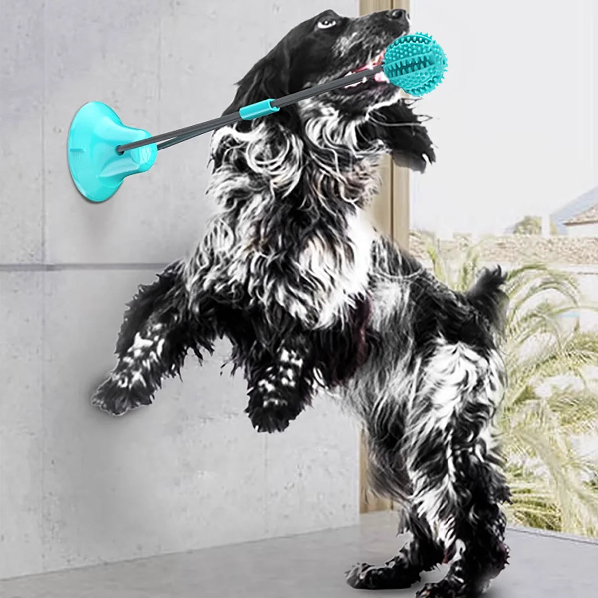 Suction Cup Tug-of-War Dog Toy | Interactive Training Chew-Proof Puppy Toy for Small/Medium Dogs | Dental Care & Treat Dispenser