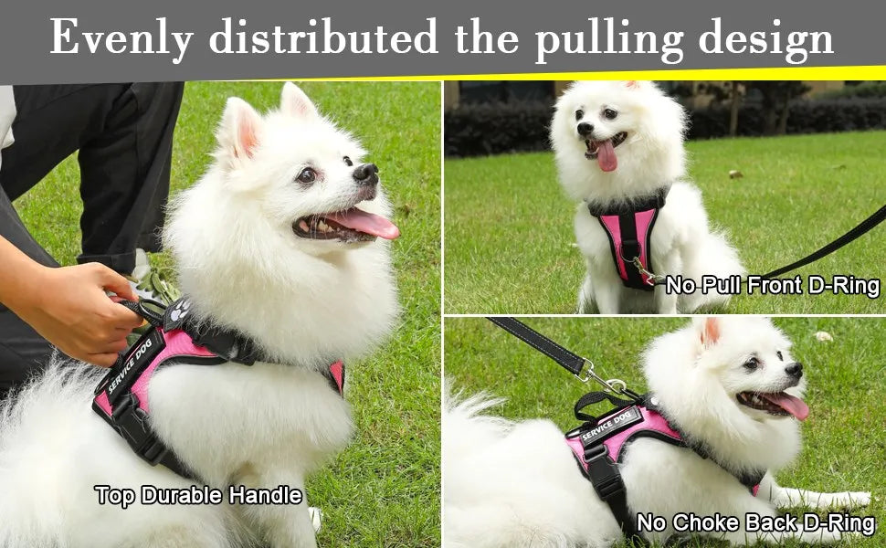 Reflective Pet Dog Harness No Pull Dog Vest Leash for Small Medium Large Dogs Walking Custom ID Tag Dog Accessories
