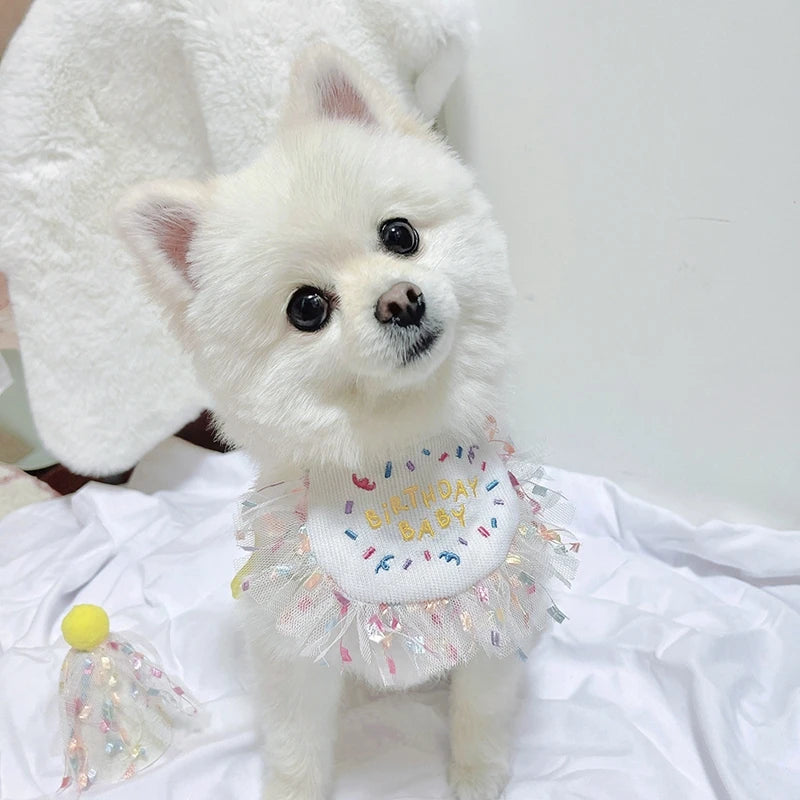 Pet Cat Dog Birthday Party Lace Suit Hat Scarf Dog Bib Saliva Towel Mesh Series Bear Birthday Jewelry Dress Up Accessories