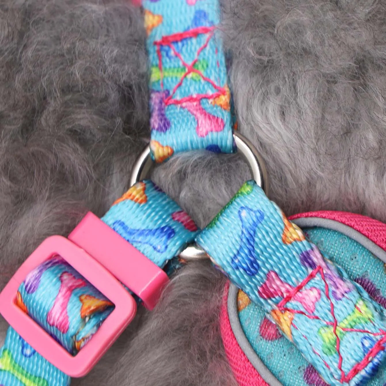 One Dog Harness and Leash Set - Comfort Adjustable - Escape Prevention Pet Leash Vest - For Small to Medium Dogs