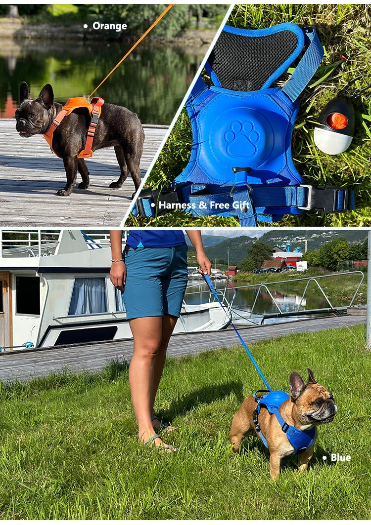 Dog Collar Harness for Medium Large Dogs Explosion-proof Punch Breathable Adjustable Pet Harness Vest Outdoor Outdoor Training