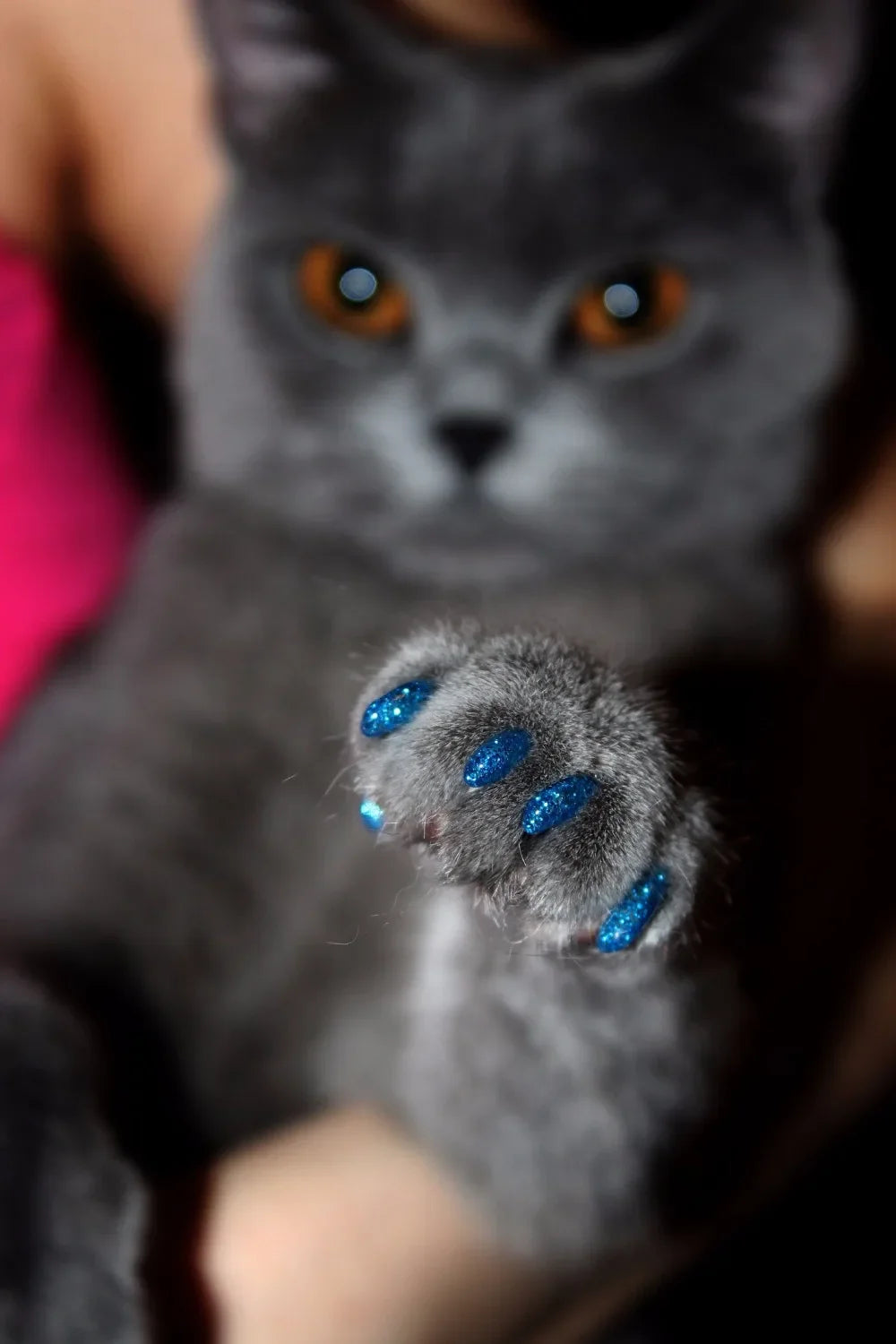 New FASHION Colorful Cat Nail Caps Soft Cat Claw Soft Paws 20 PCS/lot with Free Adhesive Glue Size XS-L Gift for Pet Dog