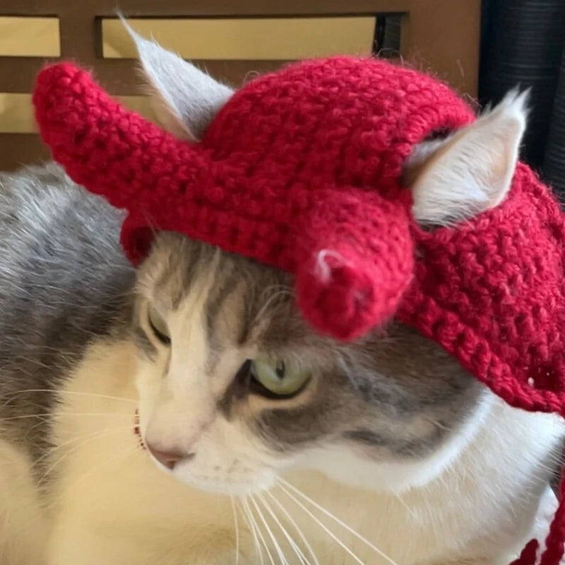 Hand-crocheted Little Devil Pet Hat Pet Accessories Cat Headdress Suitable for Small Cats and Small Dogs To Take Pictures