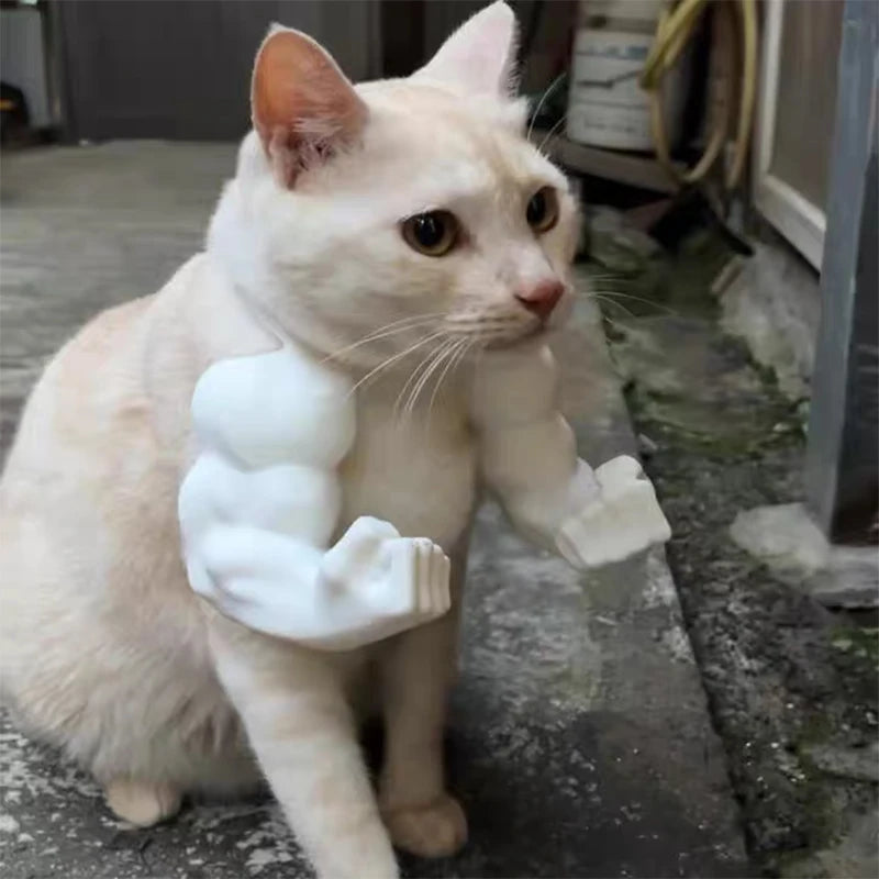 Funny Cat Muscle Arm Clothing Decoration Props 3D Printed Pet Interactive Neck Hanging Toy Role-playing Accessories Birthday Toy