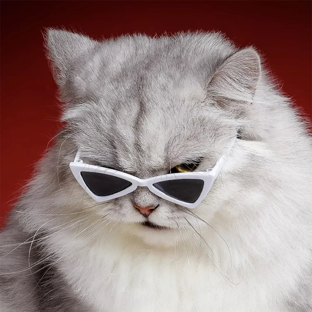 Personalise Sphynx Sunglasses Pet Accessories for Cats Puppy Kitten Goggles Windproof Glasses Pet Outdoor Traveling Supplies