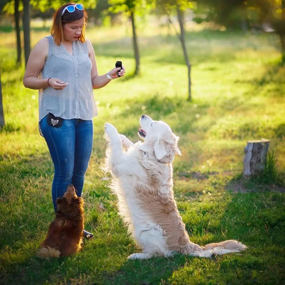 Dog Training Clicker Pet Cat Plastic Sound Clicker New Dogs Click Trainer Aid Tools Portable Sound Guide Dog Training Supplies