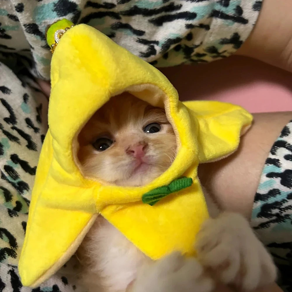 Banana Cat meme Mini Headset Cute Cat Prop Hat Banana Cat Kitten Pet Bowknot Clothing Cute Accessories