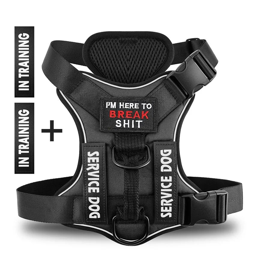 Reflective Pet Dog Harness No Pull Dog Vest Leash for Small Medium Large Dogs Walking Custom ID Tag Dog Accessories