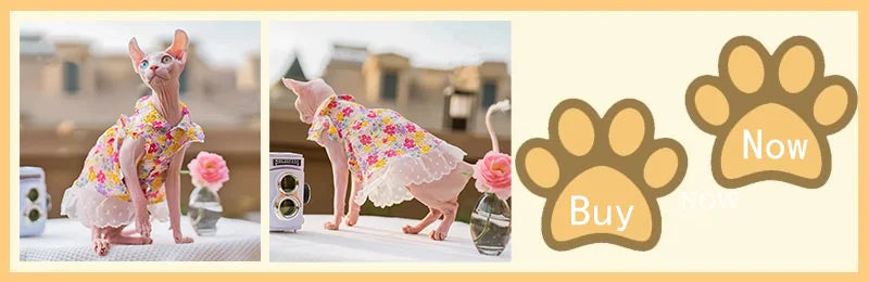 2021 Luxury Sphynx Cat Clothes Summer Dog Fancy Dress For Hairless Cats Clothing Small French Bulldog Puppy Costume Kittens Vest