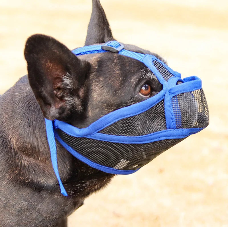 Adjustable Pet Dog Muzzle Breathable Pet Mouth Mask for Small Medium Large Dogs French Bulldog Anti-biting Muzzle Dog Accessory