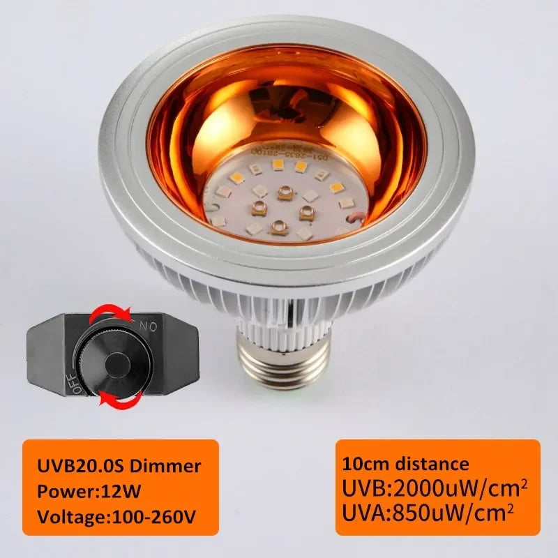 Reptile UVA+UVB Lamp Bulb Turtle Basking UV Light Bulbs Heating Lamp Lizard Bearded Dragon Terrarium Temperature Controller