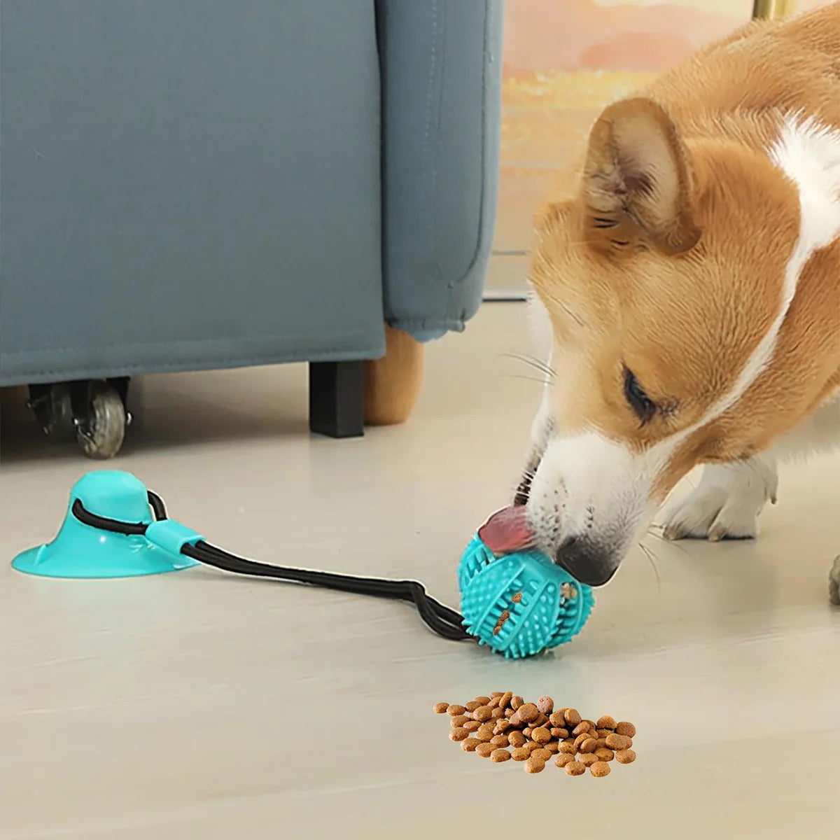 Suction Cup Tug-of-War Dog Toy | Interactive Training Chew-Proof Puppy Toy for Small/Medium Dogs | Dental Care & Treat Dispenser