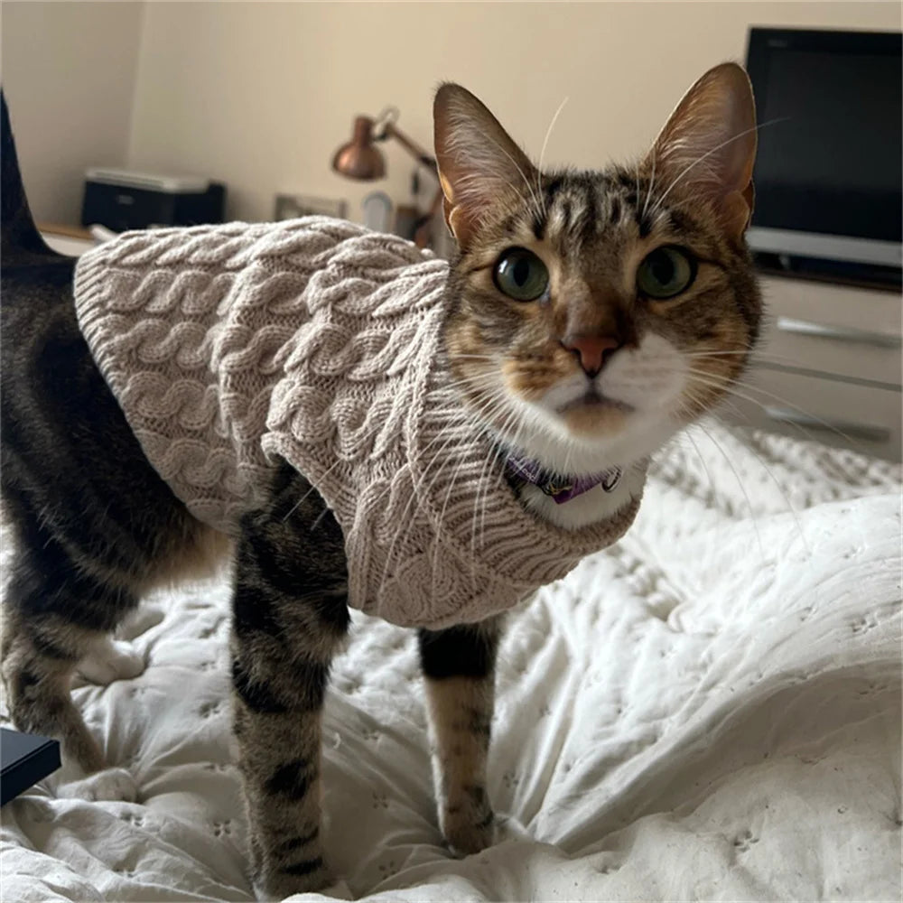 Cat Puppy Sweaters Autumn Winter Pet Knitted Sweater Jumper for Small Dogs Cats Kitten Pullovers Sphynx Clothing ropa para gatos