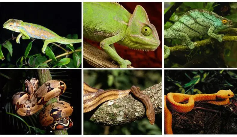 Reptile Landscaping Vine Fake Branches Rainforest Foam Rattan Terrarium Decor Habitat Decoration for Lizard Chameleon