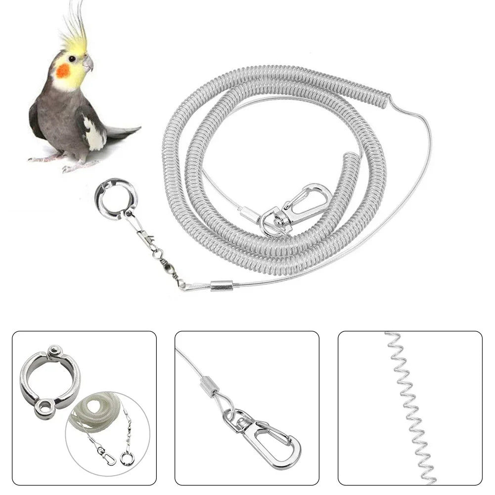 3/6m Bird Foot Chain Parrot Anti-flying Traction Rope Bird Feet Bracelet Alloy Foot Ring Pet Bird Flying Travel Training Leash