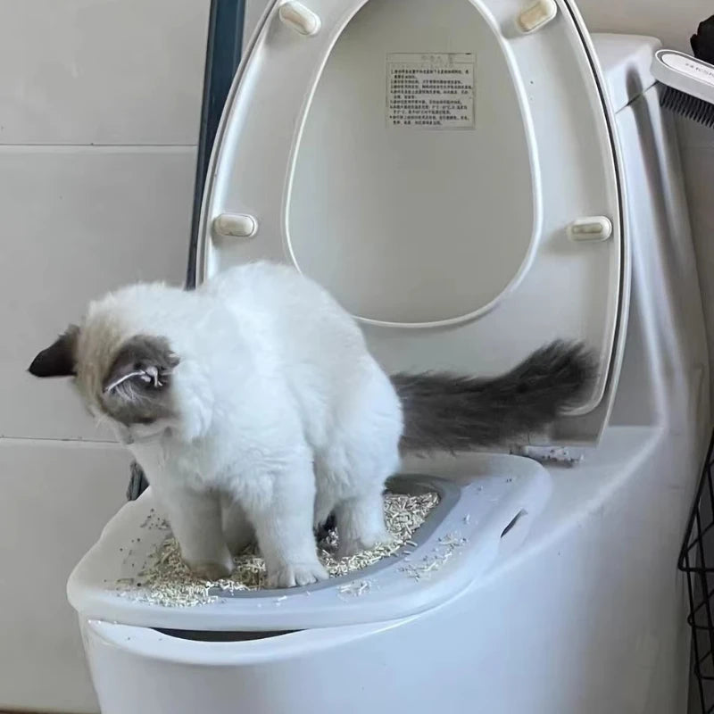 Reusable Plastic Toilet Training Kit for Cats Toilet Trainer Toilet for Puppy Cat Litter Mat Cleaning Product Best