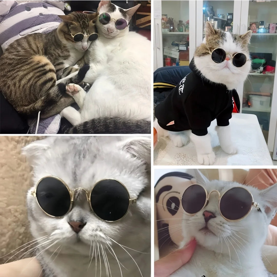 Fashionable Pet Sunglasses Metal Round Frame Puppy Cat Crown Prince Glasses for The Trend of Internet Famous Pet Photography
