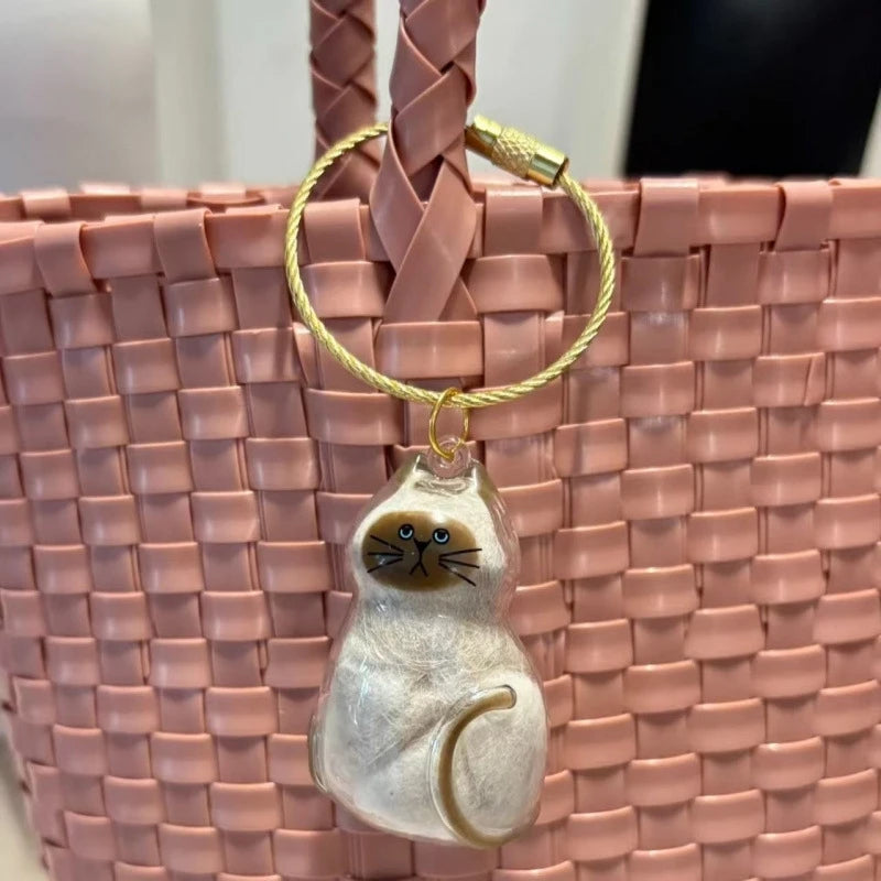 Stylish Cat Key Holder Fluffy Ball Hair Collector Transparent Case Fashionable Pet Accessories for Kitty Owners
