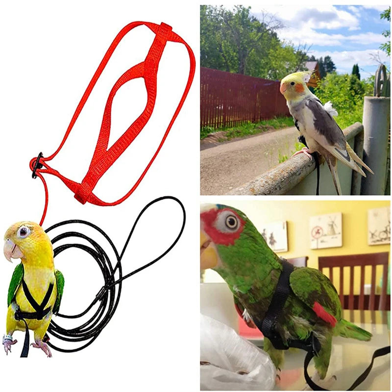 Parrot Bird Harness Leash Outdoor Activities Flying Traction Straps Band Flying Rope For Small Parakeets Cockatiels Bird